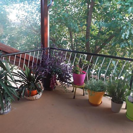 Apartmani Corleone Bilice Ngoại thất bức ảnh